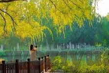 糖心app苹果手机-亮起生活新色彩，糖心APP在苹果手机上的沉浸式体验
