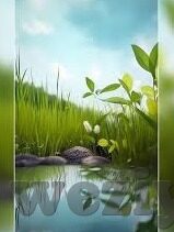在线伦理电院网-探索在线伦理教育的未来，以在线伦理电院网为例