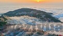 中文字幕迅雷-探索中文字幕与迅雷下载的完美结合，提升网络体验的奥秘